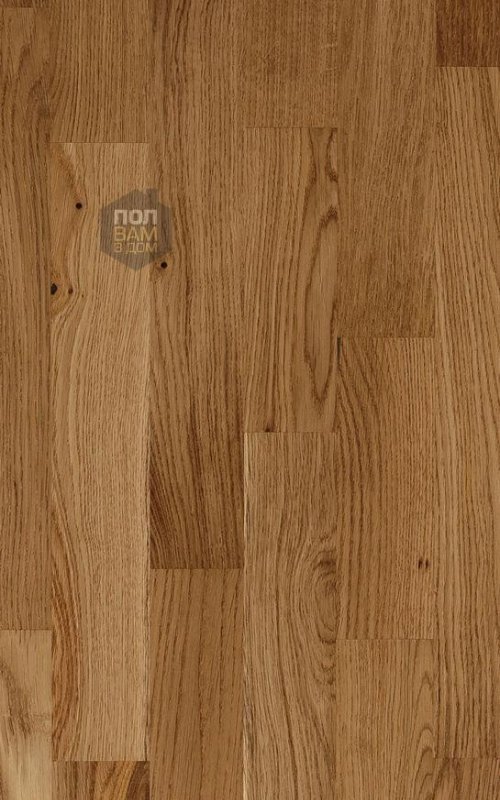 Паркетная доска Focus Floor Дуб Классик