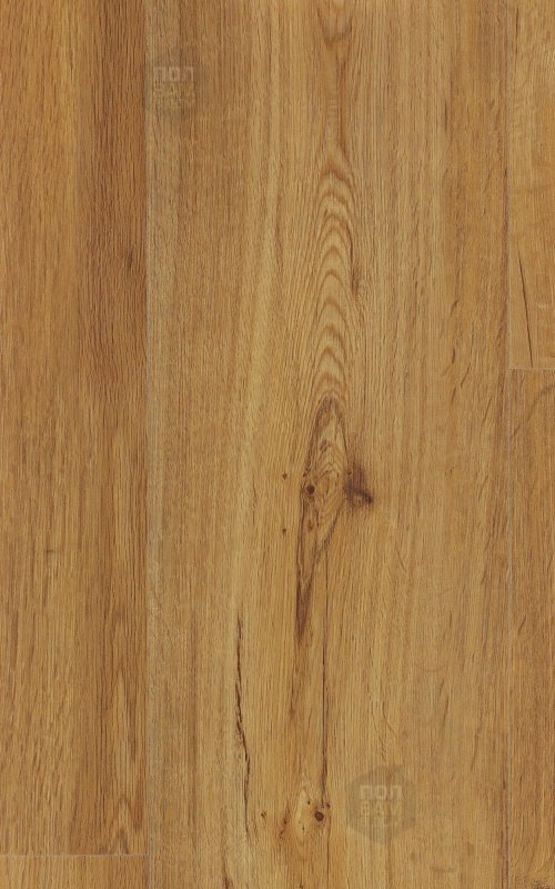 SPC ламинат Corkart Honey Summer Oak WK9817
